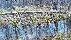 mizubasho7-20250412104043.jpg
