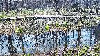mizubasho7-20250412120045.jpg