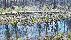mizubasho7-20250412121040.jpg