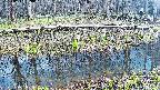 mizubasho7-20250412150042.jpg