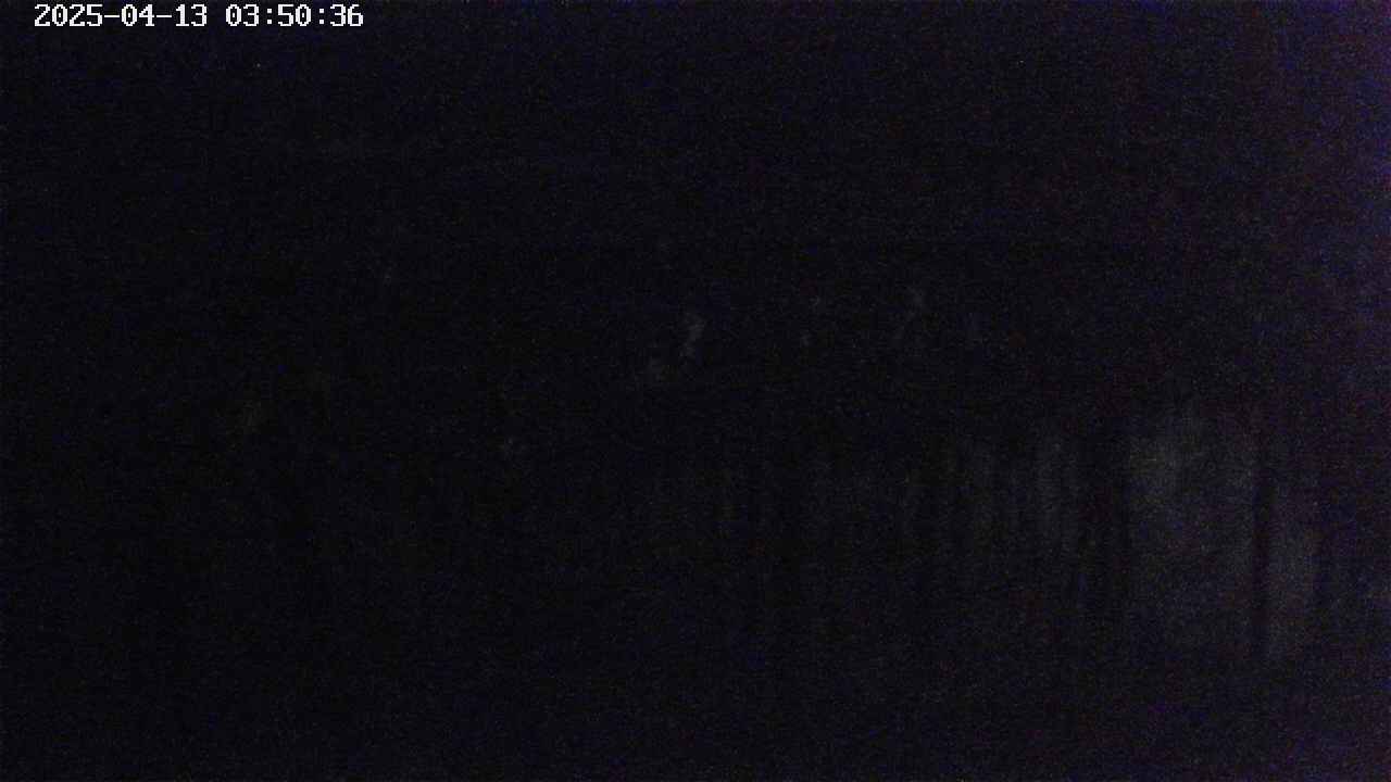mizubasho7-20250413035039.jpg