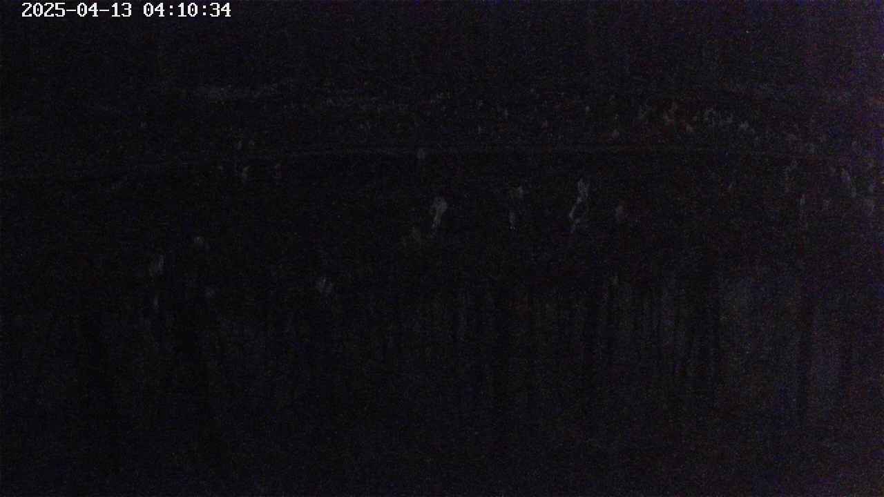 mizubasho7-20250413041037.jpg