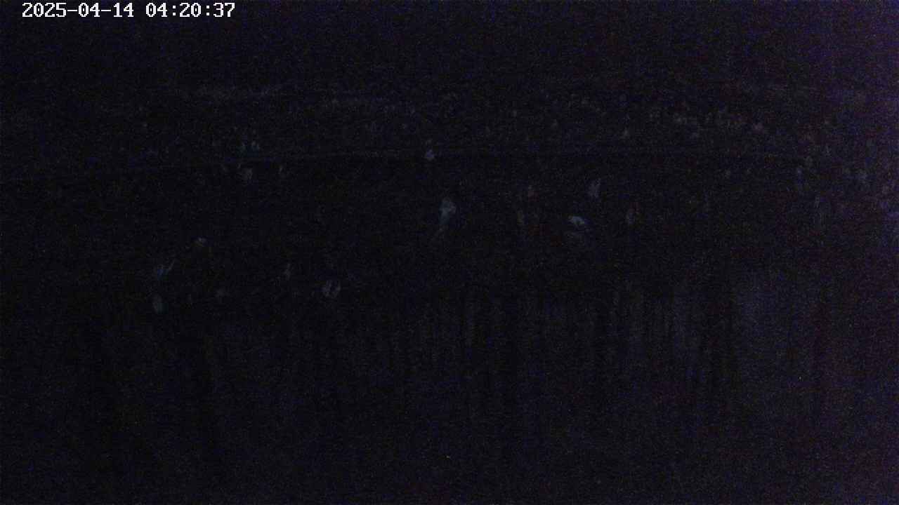 mizubasho7-20250414042040.jpg
