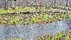 mizubasho7-20250414103045.jpg