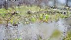 mizubasho7-20250414130043.jpg