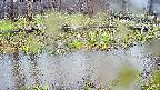 mizubasho7-20250414133043.jpg