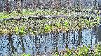mizubasho7-20250414175040.jpg