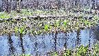 mizubasho7-20250415110043.jpg