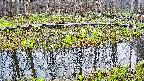 mizubasho7-20250415173043.jpg