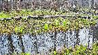 mizubasho7-20250415174041.jpg