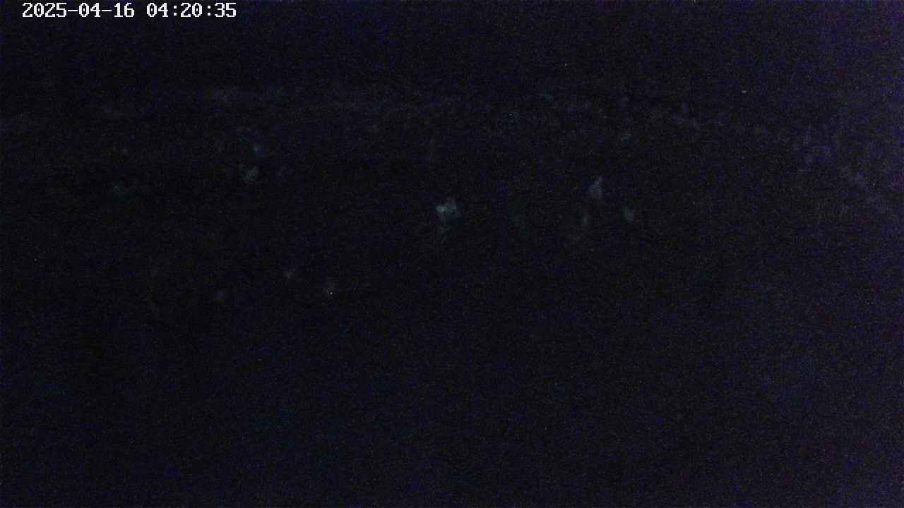 mizubasho7-20250416042037.jpg