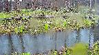mizubasho7-20250416050041.jpg
