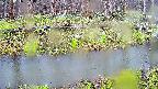 mizubasho7-20250416051040.jpg