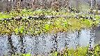 mizubasho7-20250416075043.jpg