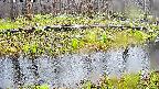 mizubasho7-20250416080043.jpg