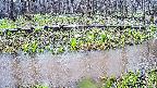 mizubasho7-20250416101043.jpg
