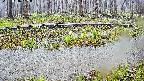 mizubasho7-20250416105042.jpg
