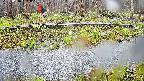 mizubasho7-20250416131041.jpg
