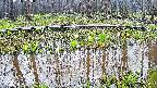 mizubasho7-20250416160037.jpg
