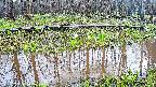 mizubasho7-20250416163040.jpg