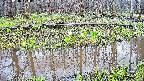 mizubasho7-20250416170040.jpg