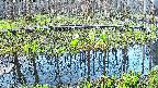 mizubasho7-20250417054043.jpg