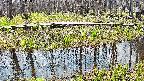 mizubasho7-20250417112043.jpg