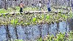 mizubasho7-20250417131044.jpg