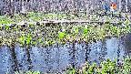 mizubasho7-20250417133041.jpg