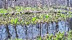 mizubasho7-20250417153044.jpg