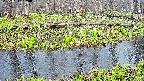 mizubasho7-20250417160040.jpg