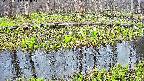 mizubasho7-20250417161044.jpg