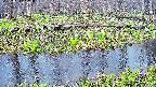 mizubasho7-20250417163041.jpg