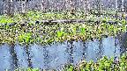 mizubasho7-20250417164043.jpg