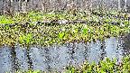 mizubasho7-20250417170042.jpg