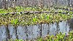 mizubasho7-20250417180041.jpg