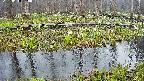 mizubasho7-20250418050041.jpg