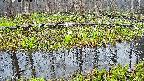 mizubasho7-20250418051040.jpg