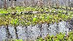 mizubasho7-20250418053041.jpg
