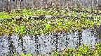 mizubasho7-20250418063040.jpg