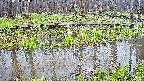 mizubasho7-20250418100042.jpg