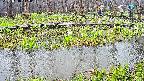 mizubasho7-20250418112041.jpg