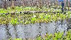 mizubasho7-20250418121044.jpg