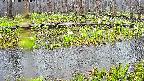 mizubasho7-20250418123042.jpg