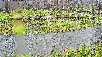 mizubasho7-20250418124040.jpg