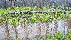 mizubasho7-20250418133041.jpg
