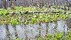 mizubasho7-20250418145038.jpg