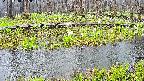 mizubasho7-20250418155041.jpg