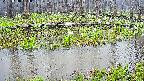 mizubasho7-20250418164041.jpg