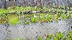 mizubasho7-20250418170041.jpg